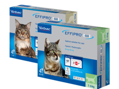 ยาป้องกันพยาธิแมว EFFIPRO DUO Spot-on Solution for cats