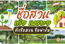 ชื่อสวน ชื่อฟาร์ม เก๋ๆ